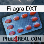 Filagra DXT 06